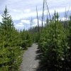 Hiking to Fairy falls - Yellowstone national park