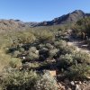 Gateway loop trail - McDowell Mountain preserve