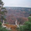 Views from the Ken Patric trail