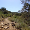 Badger Mountain trail