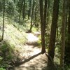 West fork of Oak Creek canyon trail