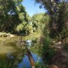 Views along the Verde River from the Greenway Trail