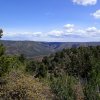 Views from the Fossil spring trail