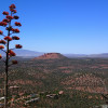 The Cockscomb as seen from the trail up Capitol Butte