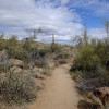 Views from the Dixie Mine trail