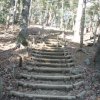 Hiking Mount Takao