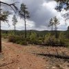 Juniper Ridge trail