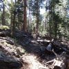 Along the Military sinkhole trail