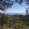 Views from the Woodchute trail