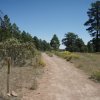 Hiking along the pipeline trail