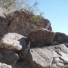 Petroglyphs along the Telegraph pass trail