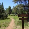 Hiking along the Lakeview trail