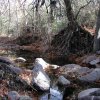 Haunted Canyon trail (Tony Ranch)