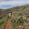 Hiking along the Reavis Ranch trail