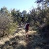 hiking along the Reavis Ranch trail