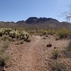 Vulture peak trail