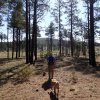 Hiker and Ridgeback along the Juniper Ridge trail