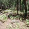 Hiking on the Secret canyon trail