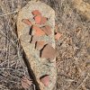 Pottery Shards