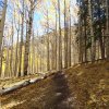 Along the Inner Basin trail