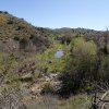 Cave Creek loop hike trail