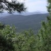 Views from the Military sinkhole trail