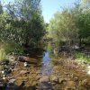 Creek along the Salida view trail