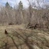 Remains of Reavis ranch