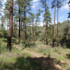 Hiking the Feldmeier trail