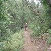 Hiker heading up the trail to Mount Francis