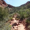 On the Doe mountain trail