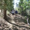 Hiking along the Watershed trail to Seven mile gulch trail