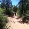 Along the Fay Canyon trail