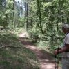 hiking through pine canyon