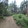 Hiking along the Watershed trail