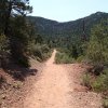 Fossil spring trail