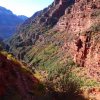 Views from the North Kaibab trail