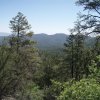 Views from the Watershed trail to Seven mile gulch trail