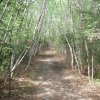 Hiking along the Caines head coastal trail