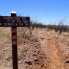 hiking the Sonoita Creek trail