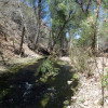 Sonoita Creek