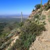 Views from the trail to Wasson Peak