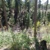 The Canyon point sinkhole from the edge