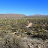 Four Peaks wilderness