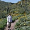 hiking among the desert wildflowers on the Pipeline canyon trail