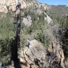 hiker on Cookstove trail