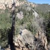 hiker on Cookstove trail