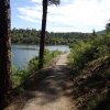 Along the Lynx lake trail