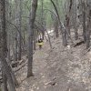 Hiker on Davenport hill