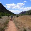 Hiker with her loyal dog along the Bul Pen Ranch trail